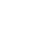 Auditing
